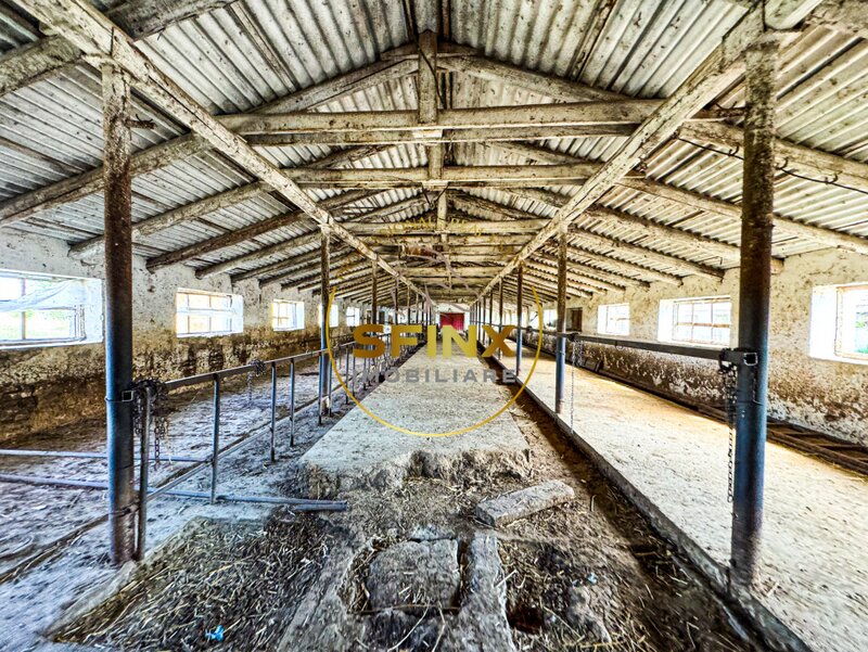 Chiselet, Calarasi, teren intravilan cu potential de investitie 62000 mp.