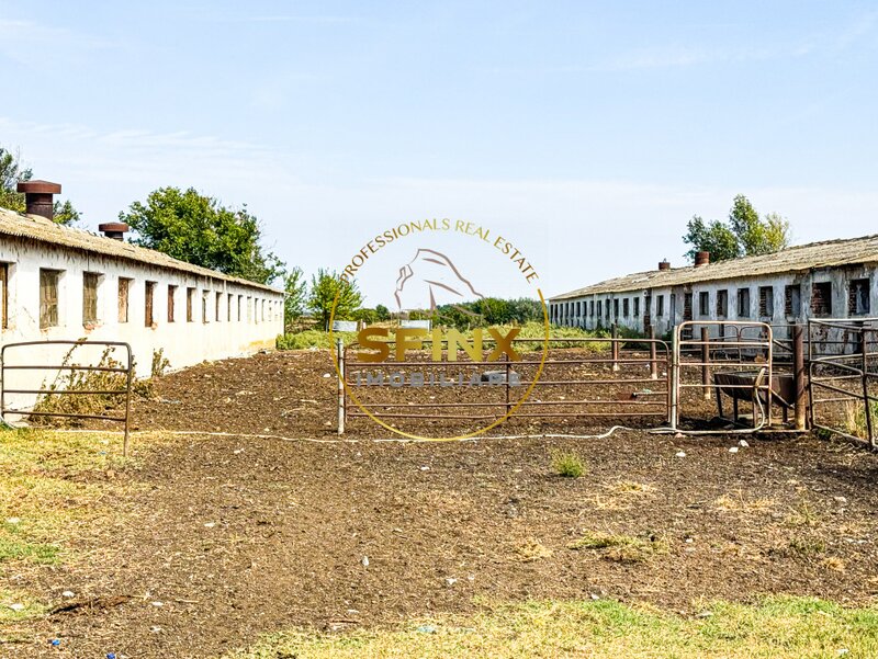 Chiselet, Calarasi, teren intravilan cu potential de investitie 62000 mp.