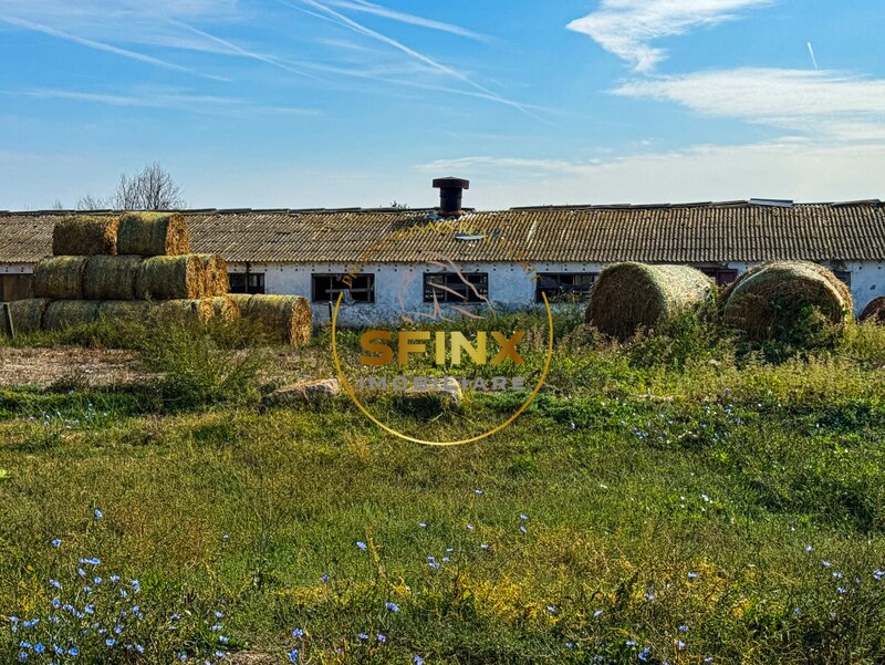 Chiselet, Calarasi, teren intravilan cu potential de investitie 62000 mp.